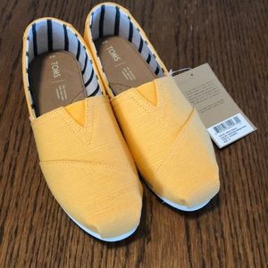 Toms Classic Gold Fusion Heritage Canvas